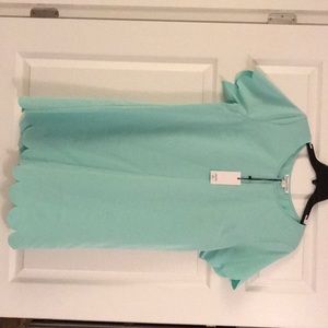 NWT Large Loveriche Mint Green Scalloped Dress